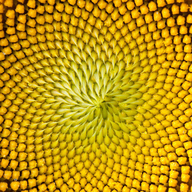 About Cargill Cargill United Kingdom